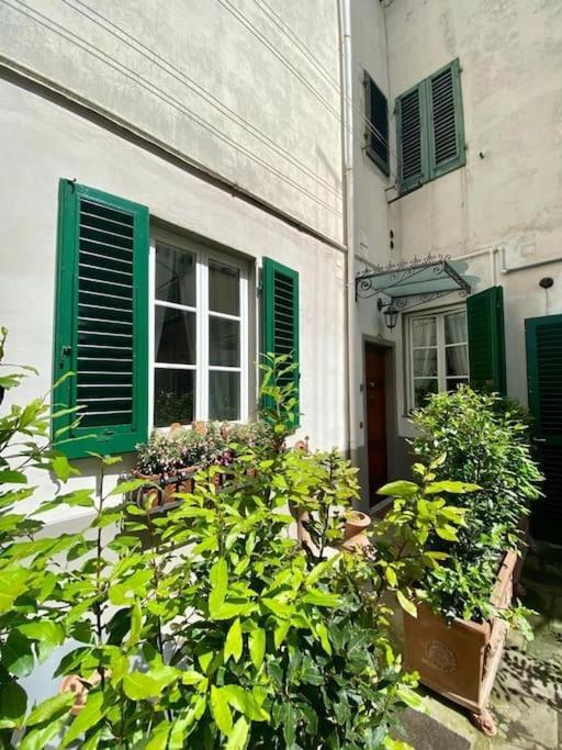 Benvenuti Nel Paradiso In Citta * Florencia