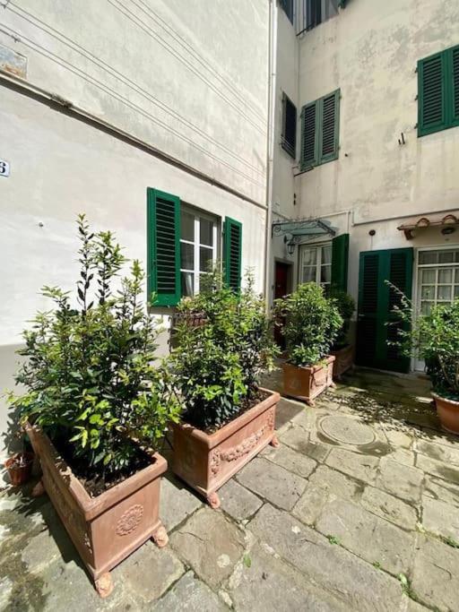Benvenuti Nel Paradiso In Citta Apartamento