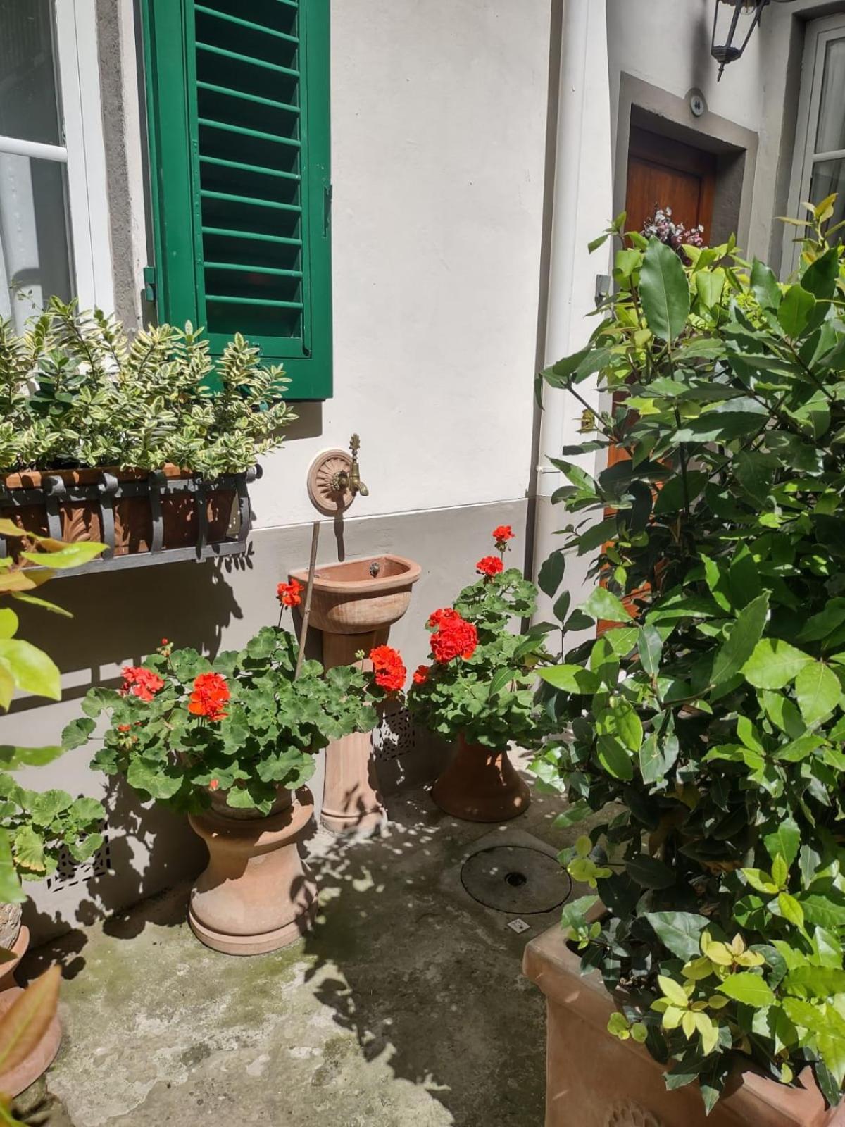 Benvenuti Nel Paradiso In Citta *